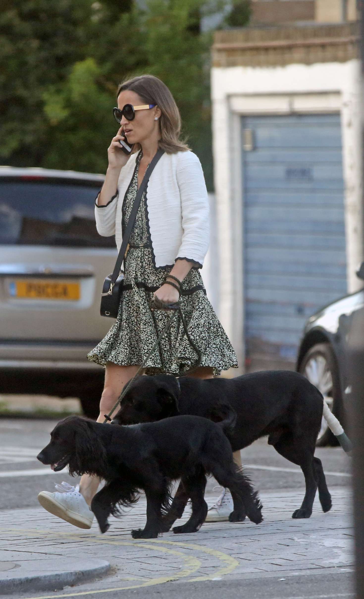 Pippa Middleton: Walking her dogs in London -04 | GotCeleb