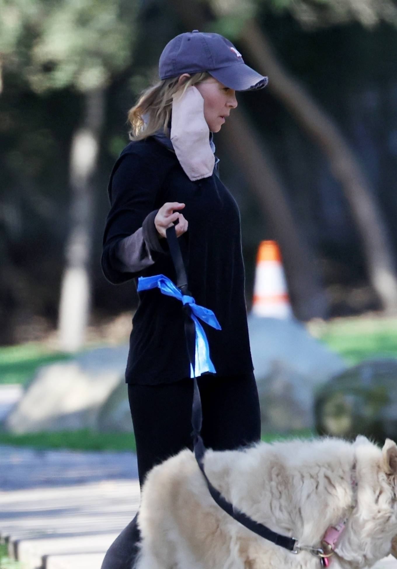 Renée Zellweger - Running errands with her dogs in Santa Monica-23