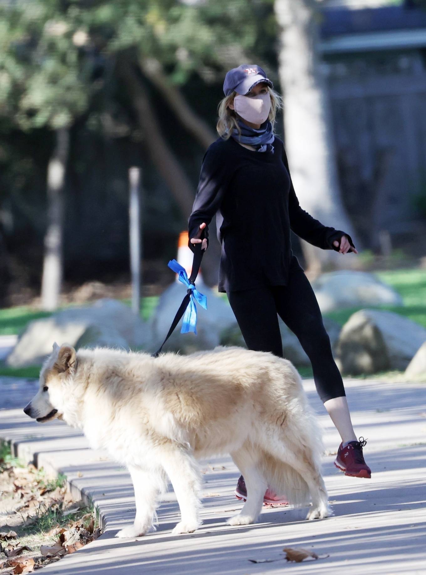 Renée Zellweger - Running errands with her dogs in Santa Monica-41