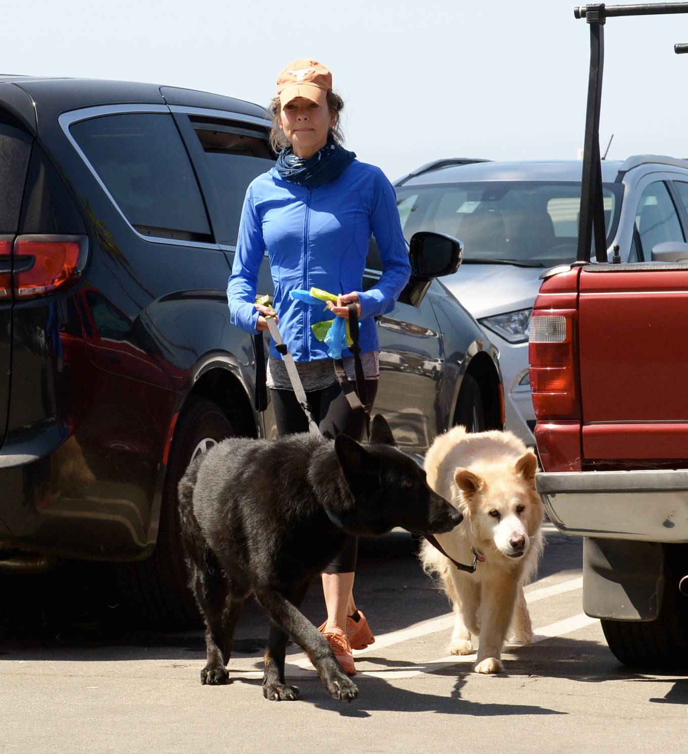 Renee Zellweger 2022 : Renee Zellweger – Seen with her dogs in Laguna Beach-16