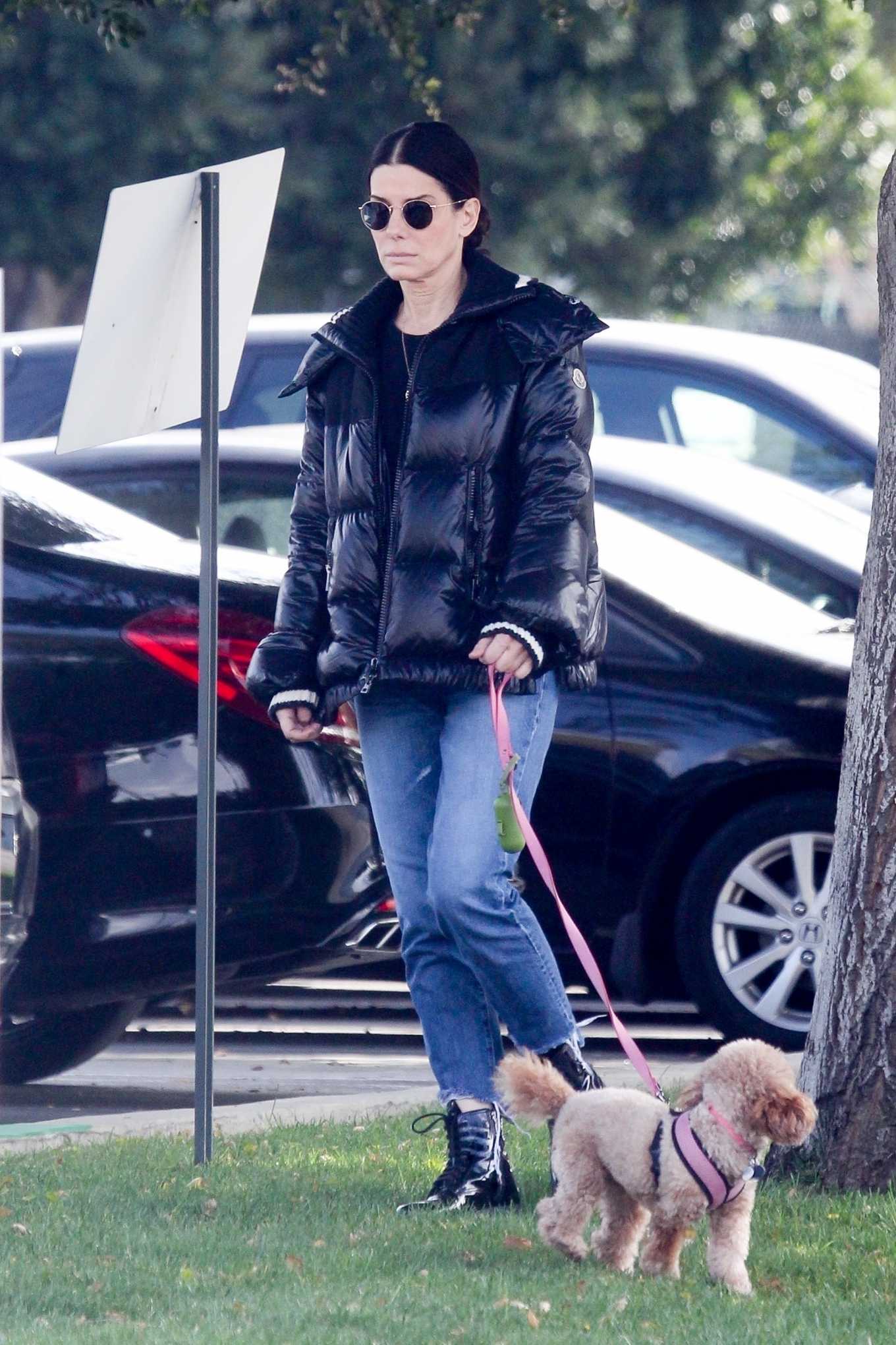 Sandra Bullock - Takes her dog out for an afternoon walk in Van Nuys-18 ...