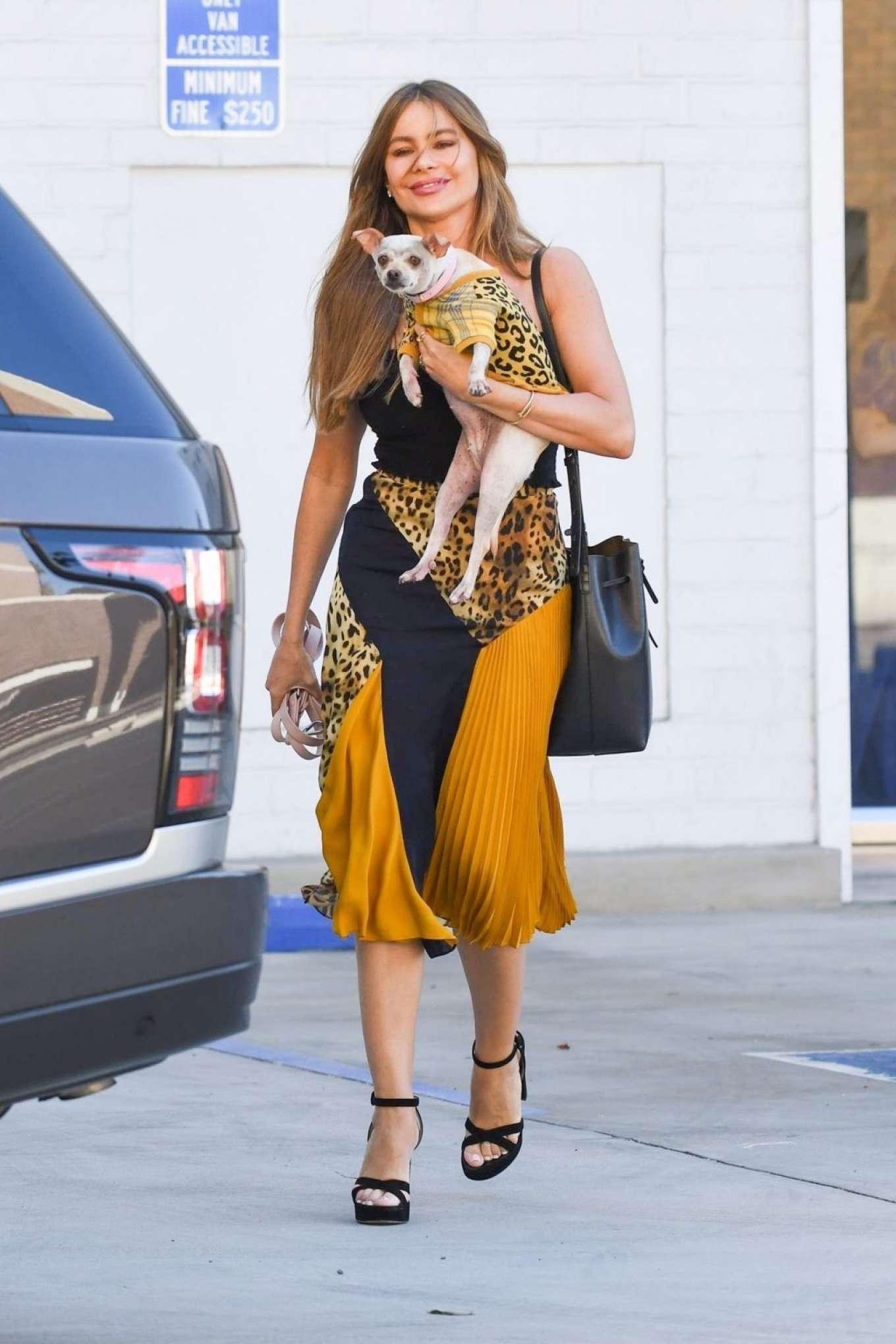 Sofia Vergara â€“ Leaves medical building with her pooch in Los Angeles