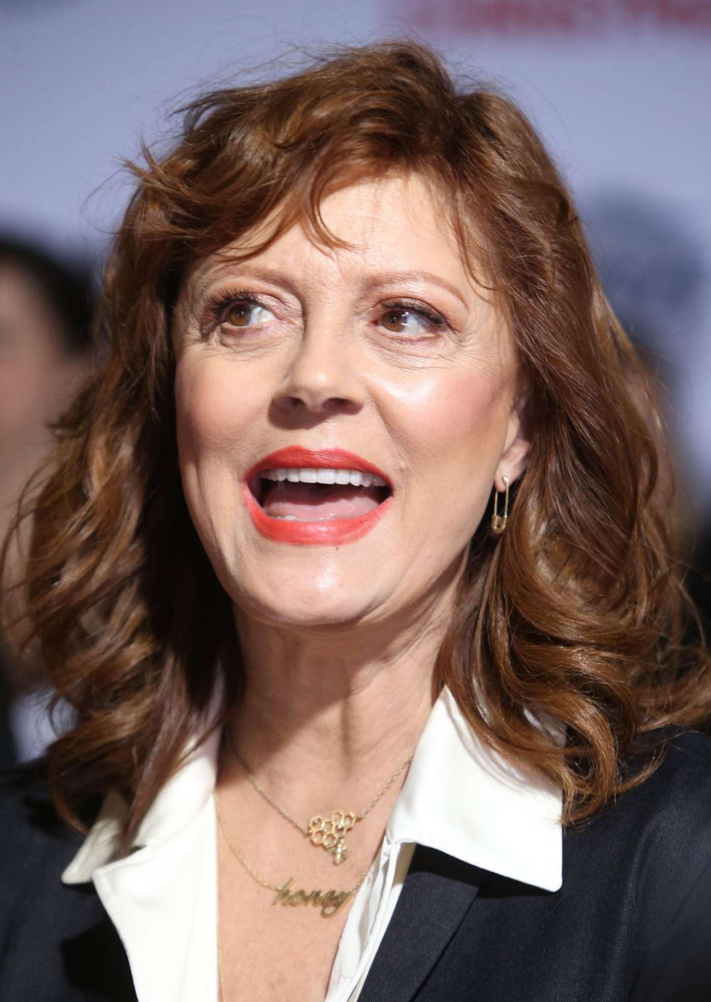 Susan Sarandon: A Bad Moms Christmas Premiere -06 – GotCeleb