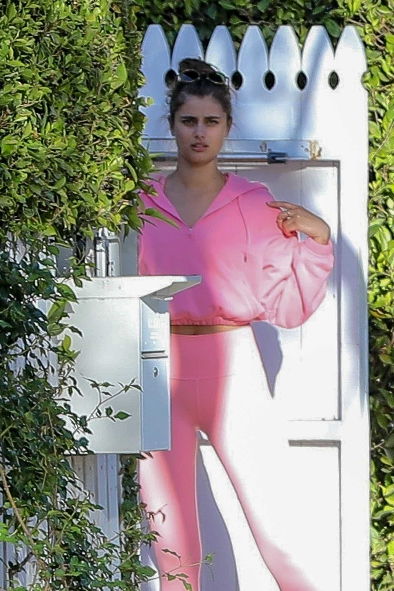 Taylor Hill â€“ Heads to walk with her boyfriend Daniel Fryer and dog in Los Angeles