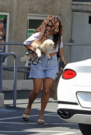 Vanessa Hudgens - With her dog in Los Feliz