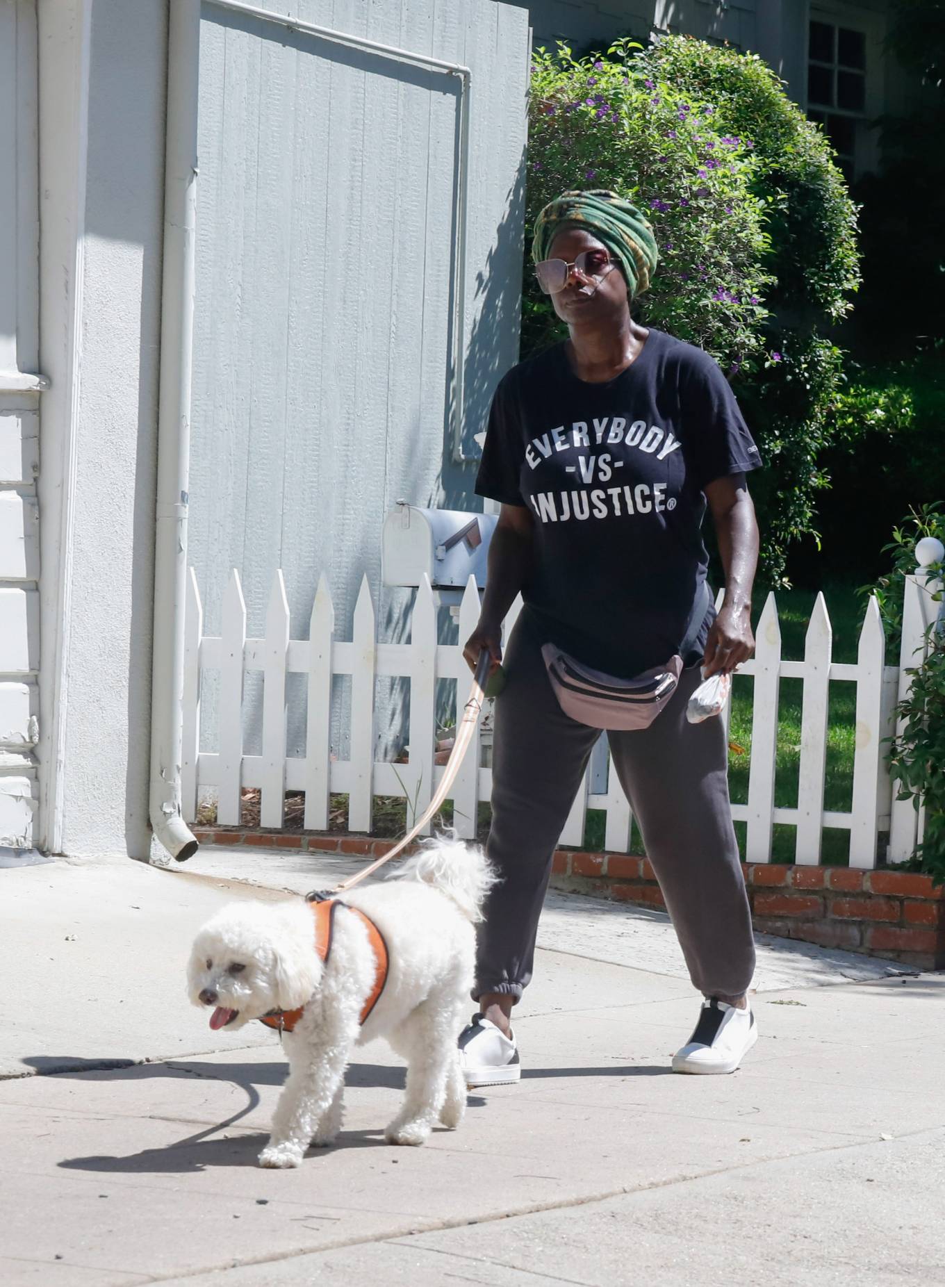 Viola Davis 2023 : Viola Davis – Out for a dog walk in Los Angeles-17